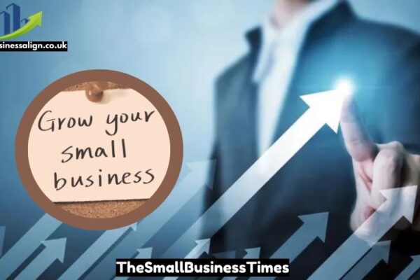 TheSmallBusinessTimes