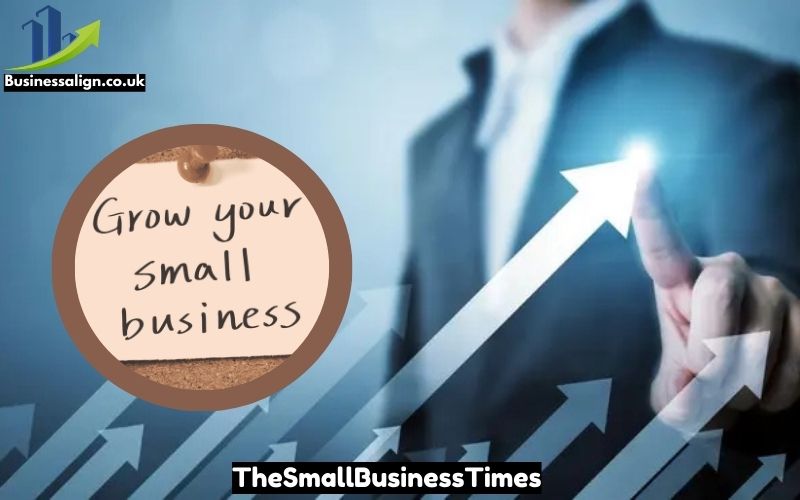 TheSmallBusinessTimes